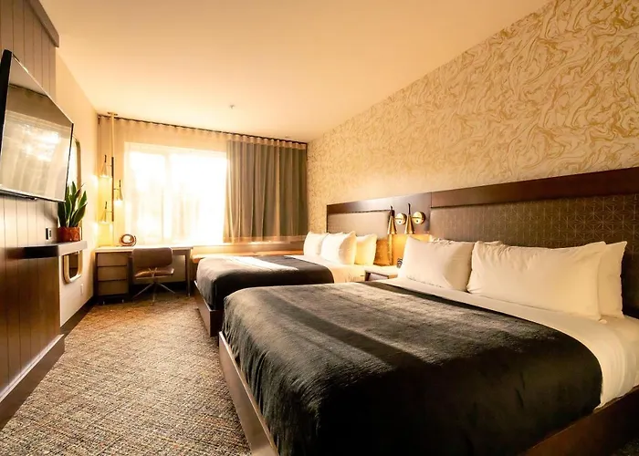 Ping Pong hotel: Hotel Zed Tofino